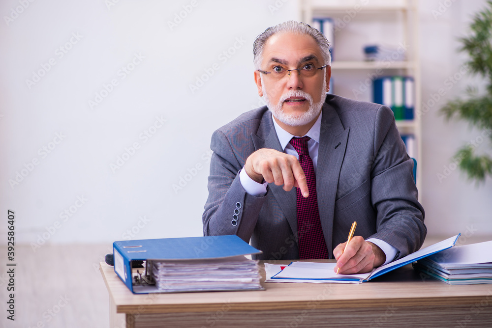Experienced male employee working in the office Experienced male employee working in the office