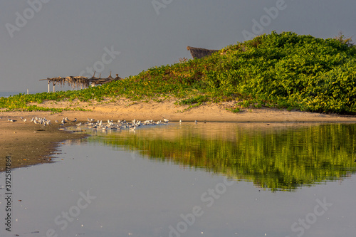 Reflejo en una laguna de la playa de la ciudad de Kafountine, en la costa del Senegal