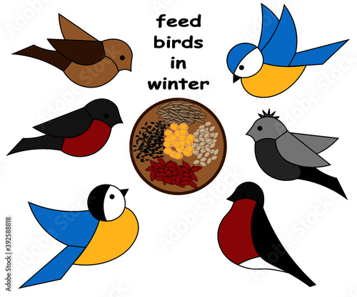 Birds eat grains from the feeder. Feed birds in winter correctly - with seeds and dried berries.