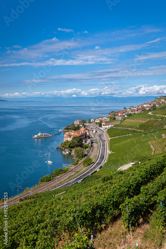 Paysage entre lac et montagnes, vignoble en terrasses du Lavaux, Suisse