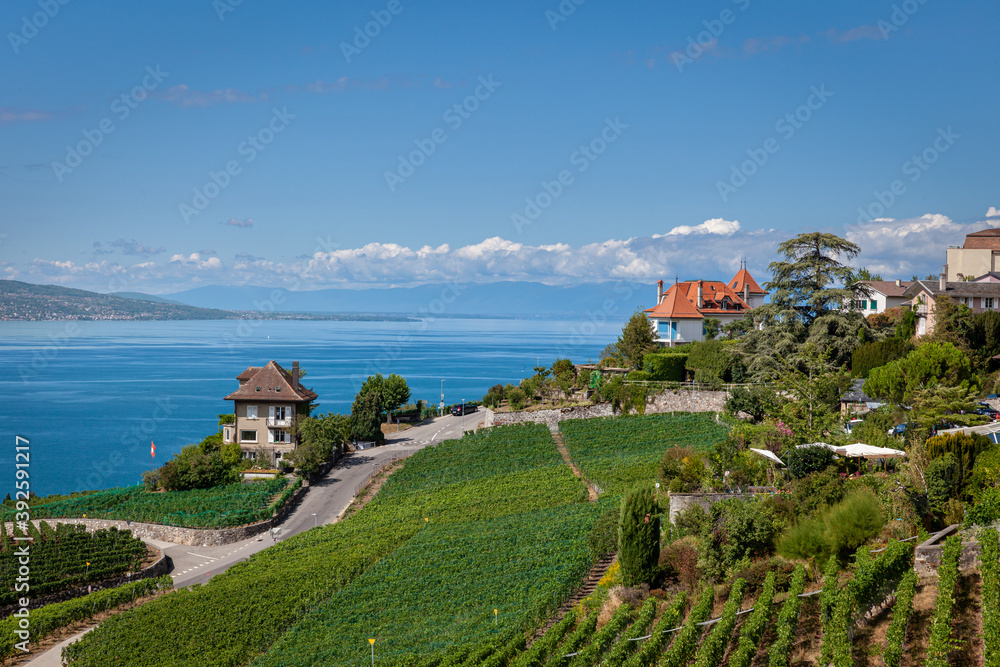 Paysage entre lac et montagnes, vignoble en terrasses du Lavaux, Suisse