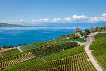 Crédence de cuisine  Panorama sur le vignoble du Lavaux et le lac Léman, vignes en terrasses, Suisse  © Guillaume FREY