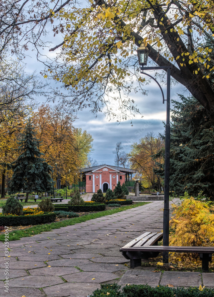 Fototapeta premium Empty wooden benches and picturesque autumn park