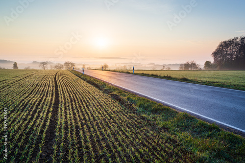 Luxembourgish rural road near field during sunrise with fog in the valley below