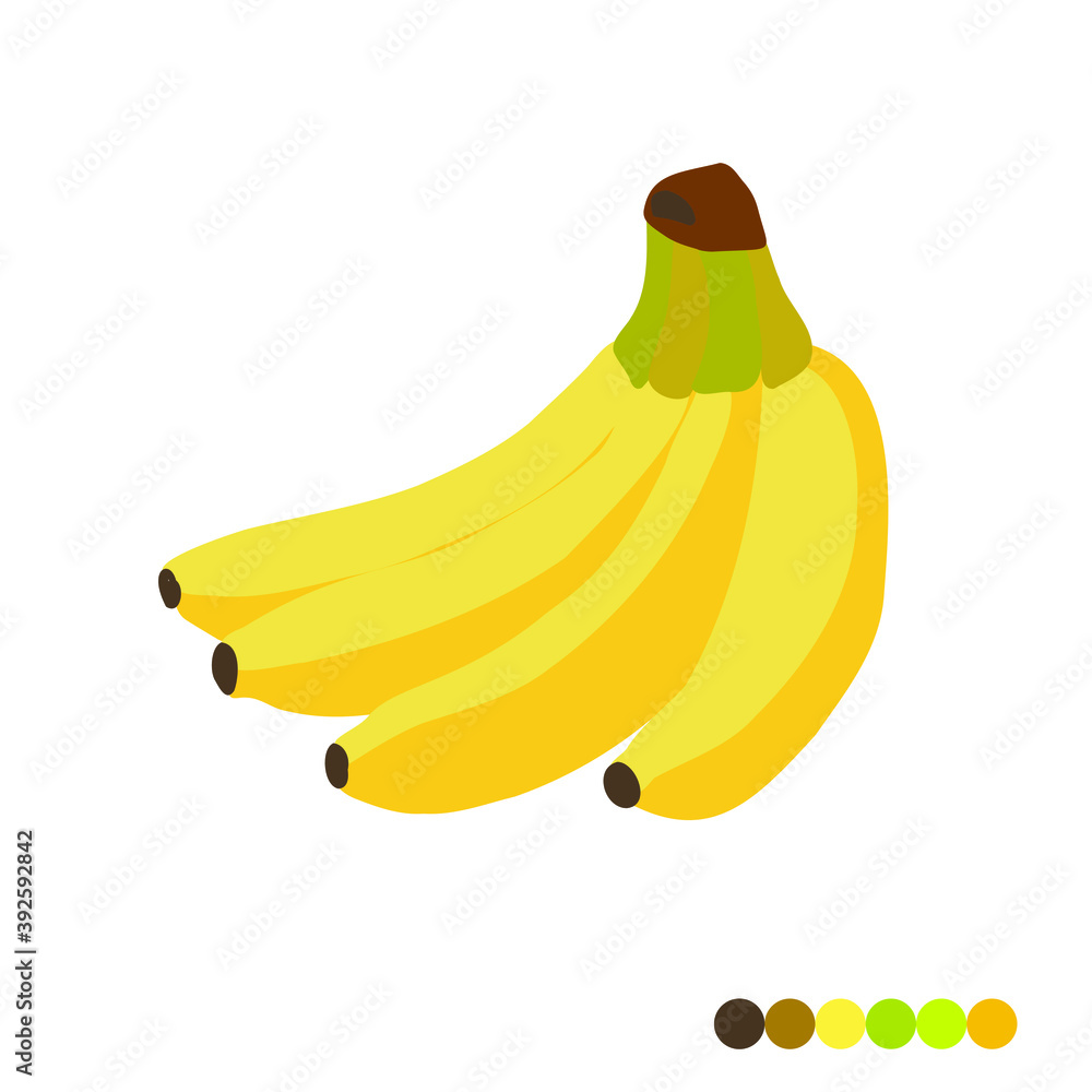 branch of bananas isolated, bright yellow sweet fruit, icon, vector illustration with bananas color palette
