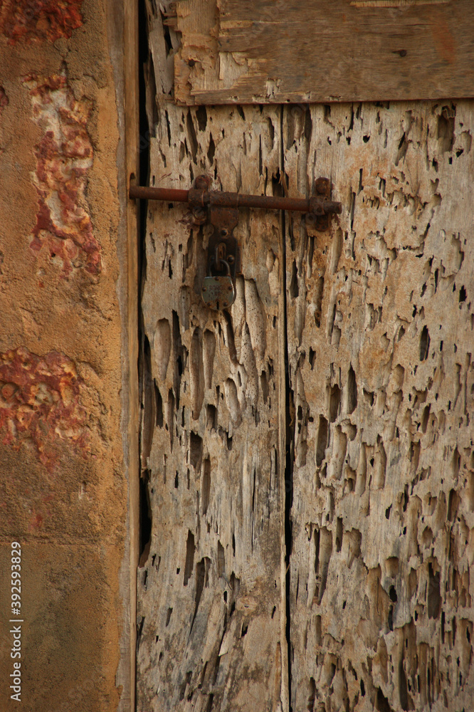 Old wooden door in holes. Door wounded by worms Old wooden door in holes. Door wounded by worms