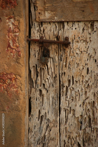 Old wooden door in holes. Door wounded by worms