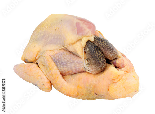 Εκτύπωση καμβά Fresh raw prepared whole Guinea fowl isolated on a white background