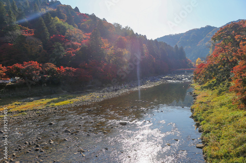 Fototapeta Naklejka Na Ścianę i Meble -  Autumn in Japan, November