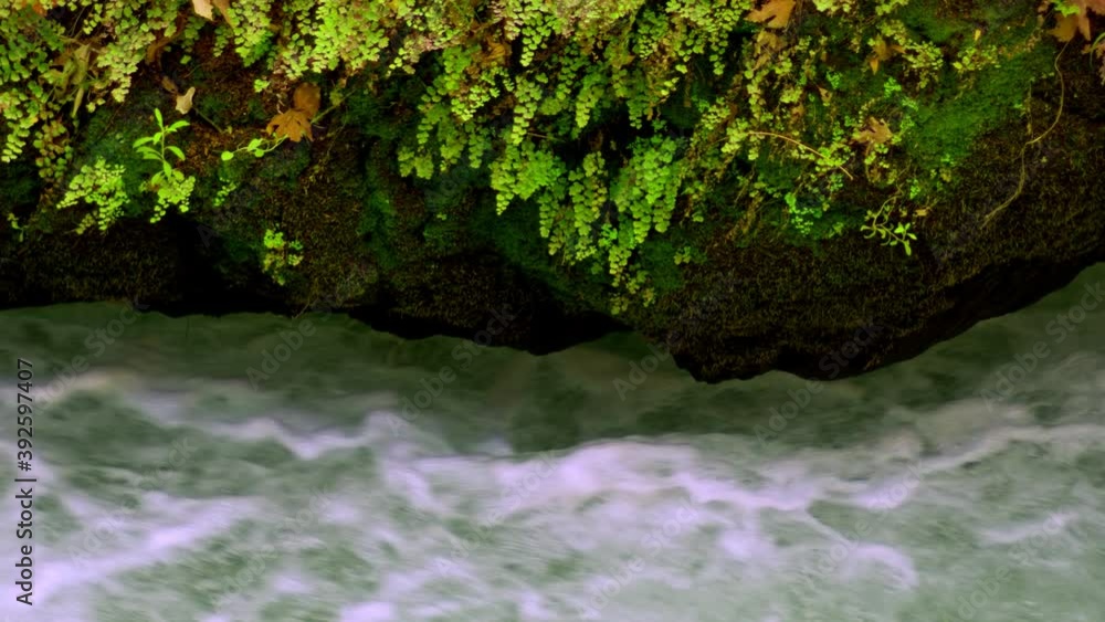 Waterfall in Wild Nature Waterfall in Wild Nature