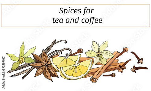 A set of spices for hot winter drinks: cinnamon, anise, lemon and vanilla. Vector illustration isolated on white background.