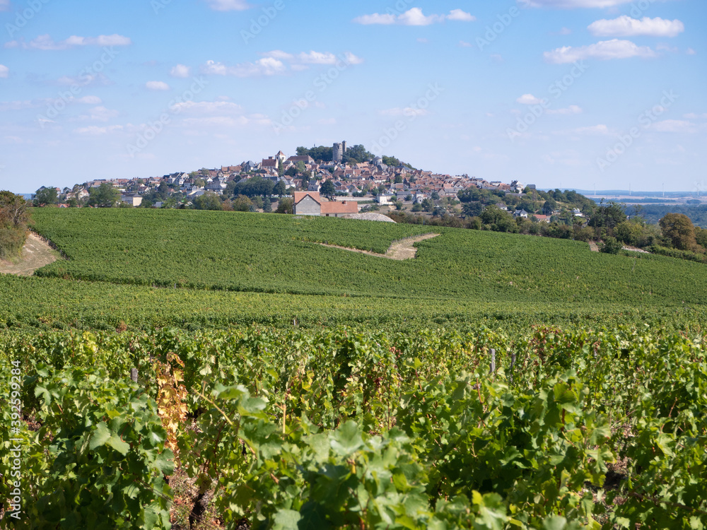 The vineyard of Sancerre, in the Loire Valley of France