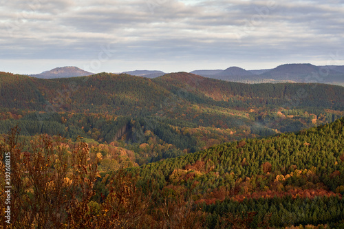 Beautiful view of the autumn landscape in the Palatinate Forest  Germany