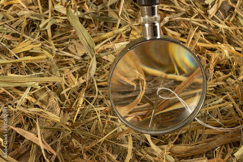 image of finding a needle in a haystack with a magnifying glass close up