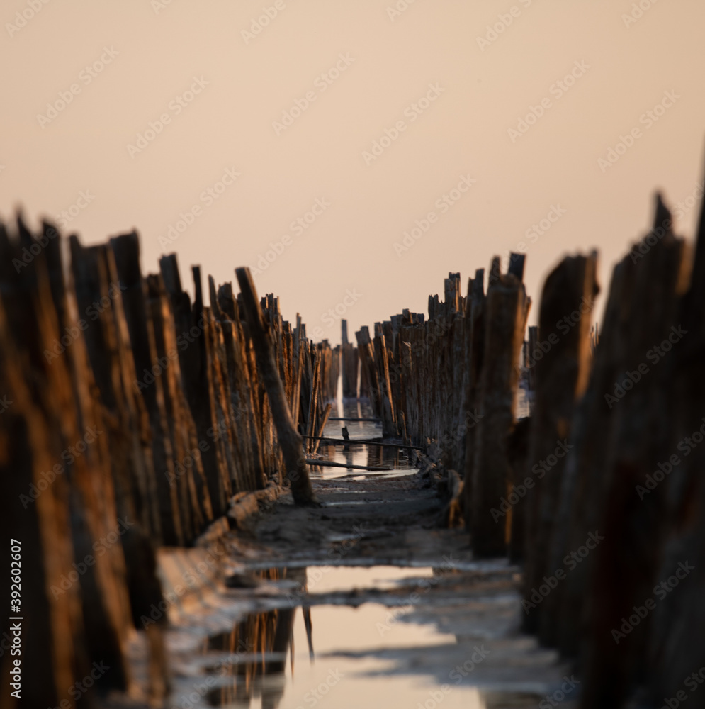 The road along the pillars stuck in the lake The road along the pillars stuck in the lake
