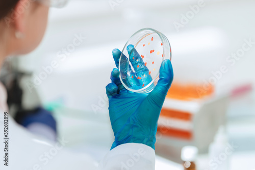 close up. female scientist with a Petri dish .