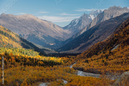 Mountains and autumnal forest. Mountain landscape with river