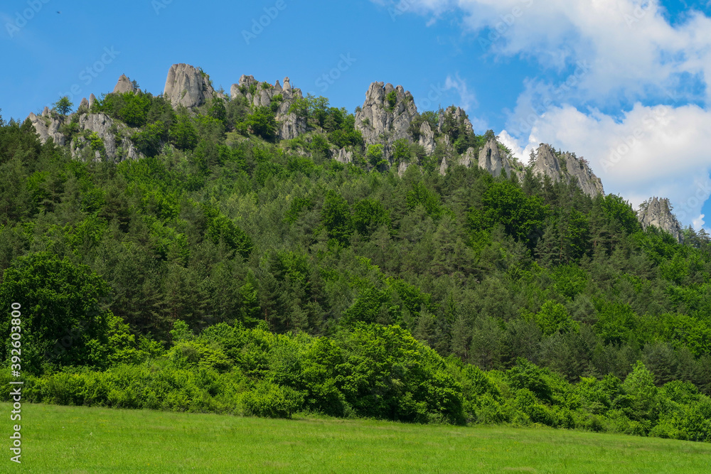 Rocks in the forest in Sulov, Slovakia Rocks in the forest in Sulov, Slovakia