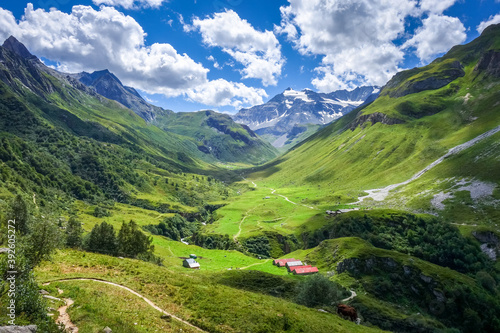 Mountain and pastures landscape in French alps