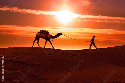 Cameleers  camel Drivers at sunset. Thar desert on sunset Jaisalmer  Rajasthan  India.