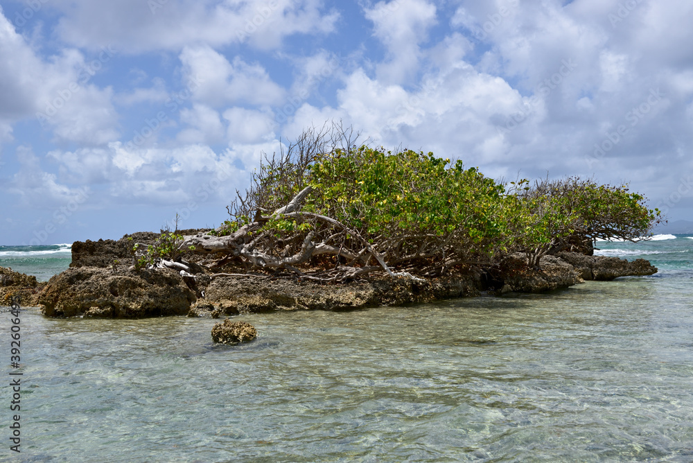 Îlot Guadeloupe