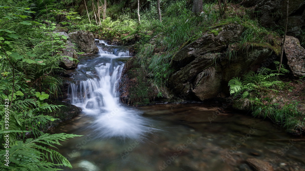 River cascading into small lagoon in a green forest. River cascading into small lagoon in a green forest.