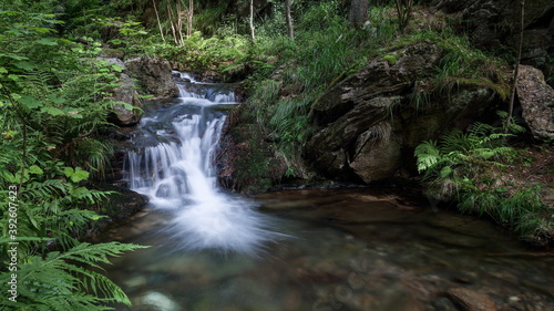 River cascading into small lagoon in a green forest.