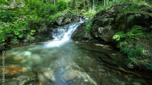 River cascading into small lagoon in a green forest.