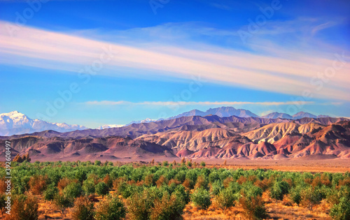 Slika na platnu Amazing nature scenery - bizzare colorful rocks - mountain range at the background of blue sky at sunset time and green orange trees