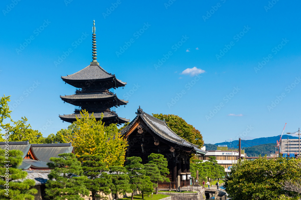 東寺 東寺
