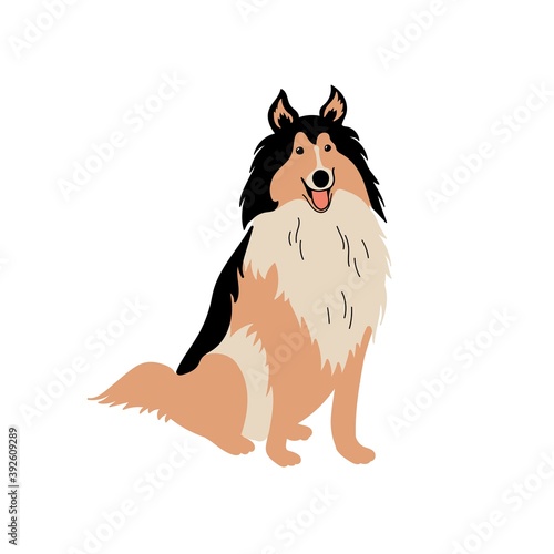 Vector cute Collie. Dog breeds. Doodle illustration isolated on white background
