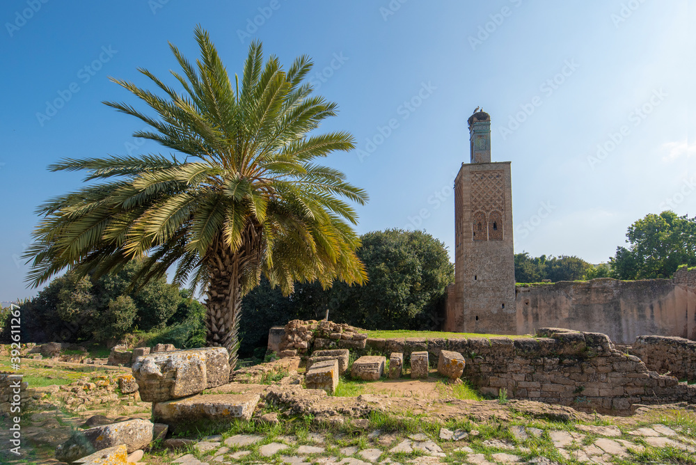 Minaret of the mosque in Chellah or Sala Colonia is a medieval fortified necropolis located in Rabat, Morocco. Rabat is the capital of Morocco , Africa. Park full of old ruins and history forum