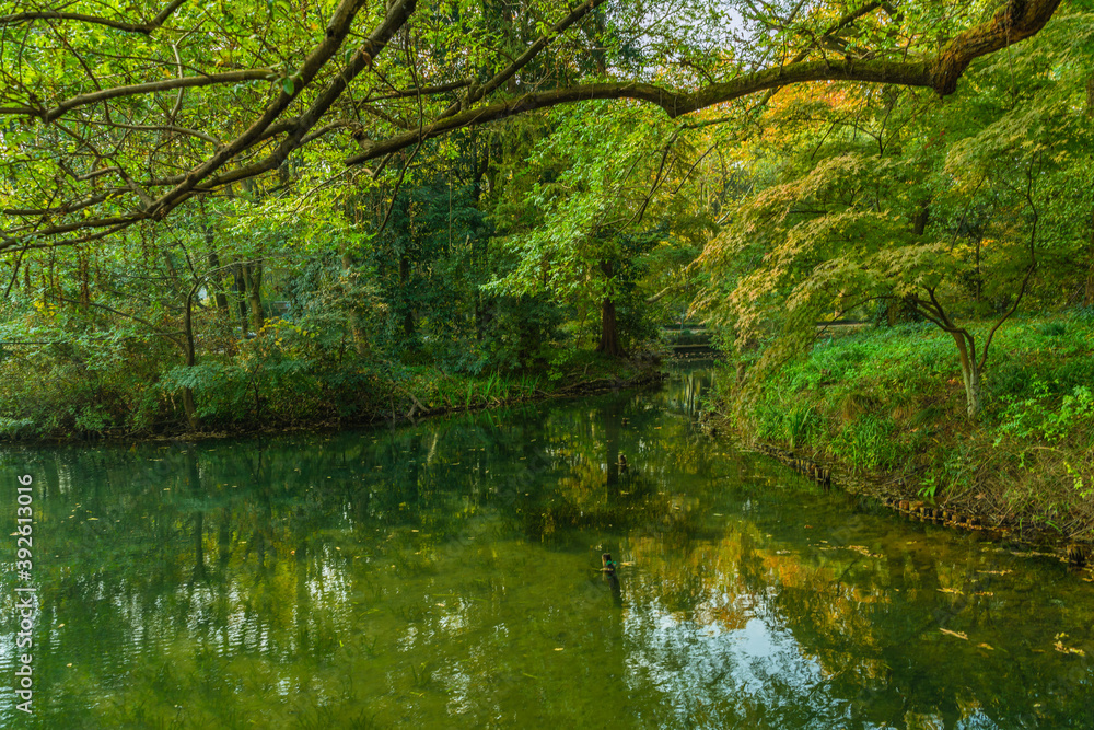 Wetland landscape in Hangzhou, China, autumn time.