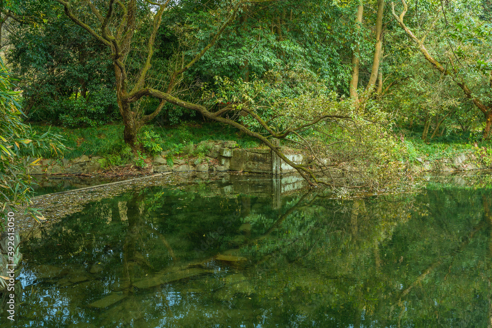 Wetland landscape in Hangzhou, China, autumn time. Wetland landscape in Hangzhou, China, autumn time.