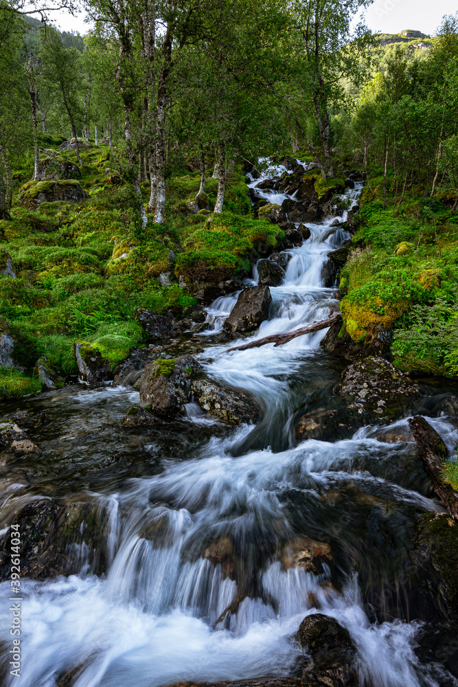 Fototapeta premium Waterfall with variations and a river