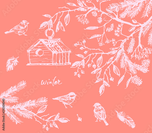 Hand drawn ink birds illustration in branches photo