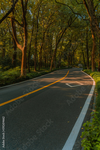 A road in forest in autumn time.