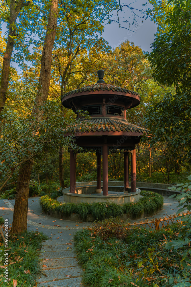 Traditional Chinese garden with pavilion and forest in Hangzhou, China, autumn time. Traditional Chinese garden with pavilion and forest in Hangzhou, China, autumn time.