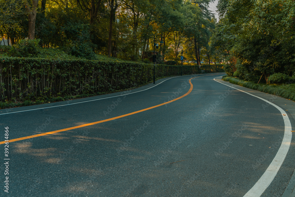 Obraz premium A road in forest in autumn time.