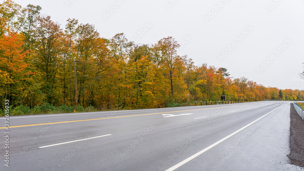 Fall foliage on the Trans-Canada Highway near Sault Sainte Marie, Ontario Fall foliage on the Trans-Canada Highway near Sault Sainte Marie, Ontario