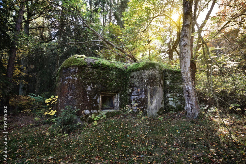 Abandoned bunker of WW2 in the forest