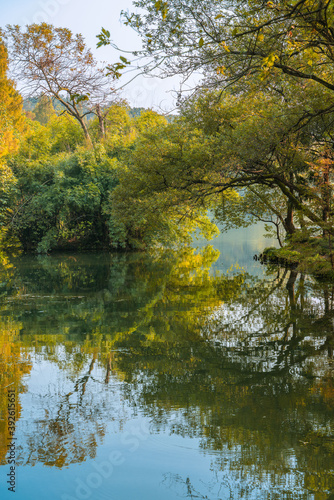 Fototapeta Naklejka Na Ścianę i Meble -  The forest at west lake in Hangzhou, China, at autumn time.