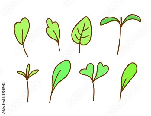 Hand-drawn simple vector doodle style drawing. Micro green sprouts set. Healthy foods, vitamins, vegetarian salad. For sticker prints, label, product design, packaging.