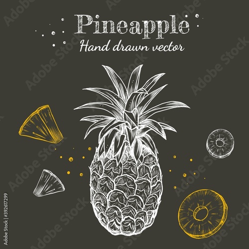 Vector chalk line art pineapple tropical fruit hand drawn retro illustration set. Vintage linear ink engraved doodle sketches. Isolated on chalkboard background,whole and sliced with leaves.