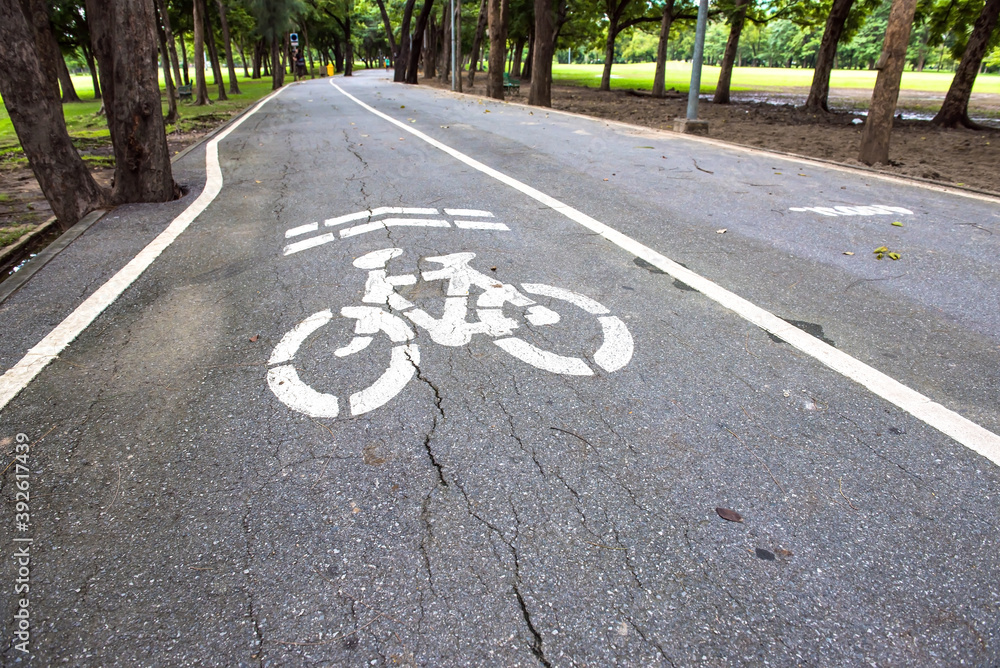Obraz premium bicycle lane in the park