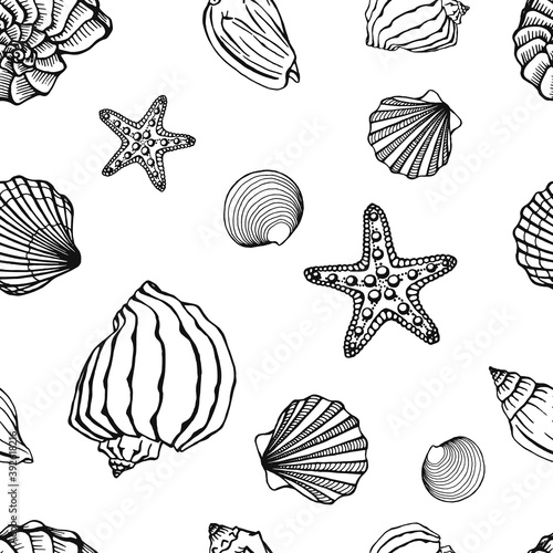 Seamless pattern with seashells. Marine background. Hand drawn vector illustration in sketch style. Perfect for greetings, invitations, coloring books, textile, wedding and web design.