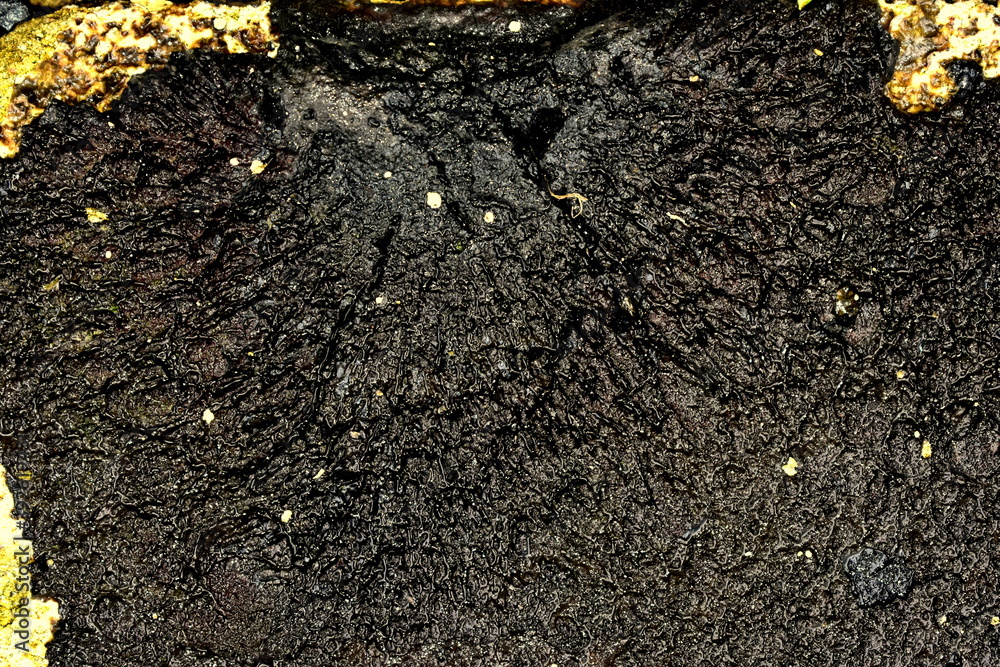 Fototapeta premium hardened bitumen layer on concrete
