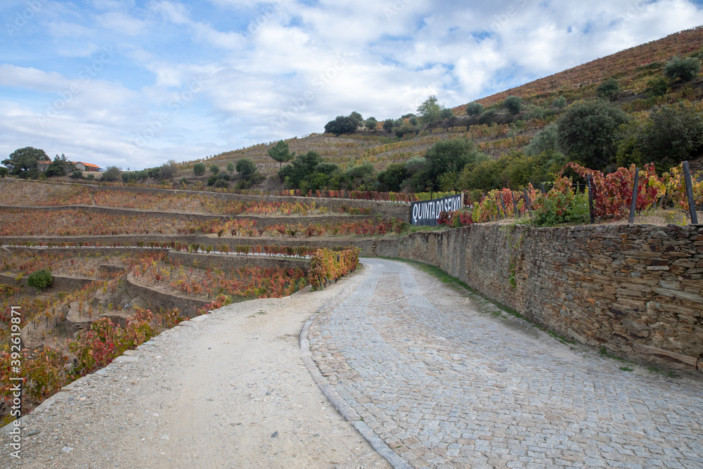Autumn in Douro Valley, Portugal Autumn in Douro Valley, Portugal