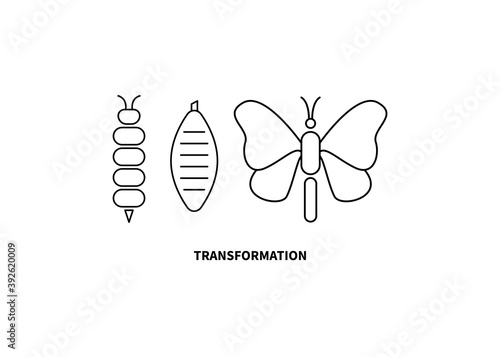 Transformation concept. Caterpillar, butterfly, and cocoon stages