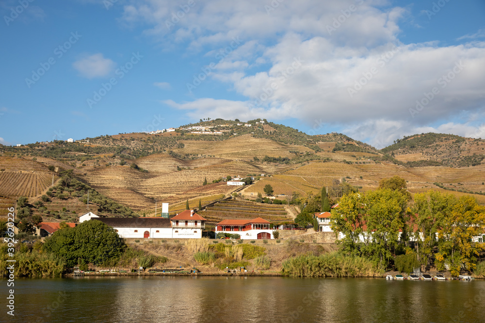 Fototapeta premium Autumn in Douro Valley, Portugal